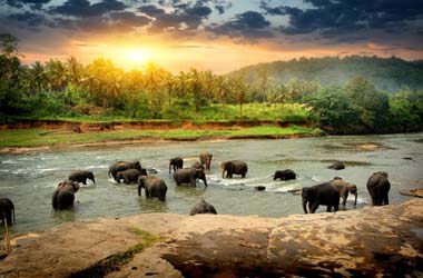 holiday packages to sri lanka
